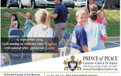 15 September 2024 Bulletin